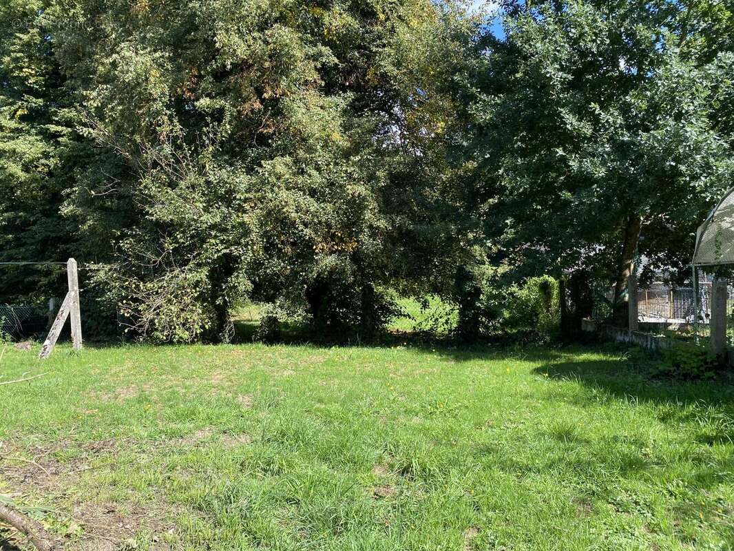 Maison à CHATEAUNEUF-LA-FORET