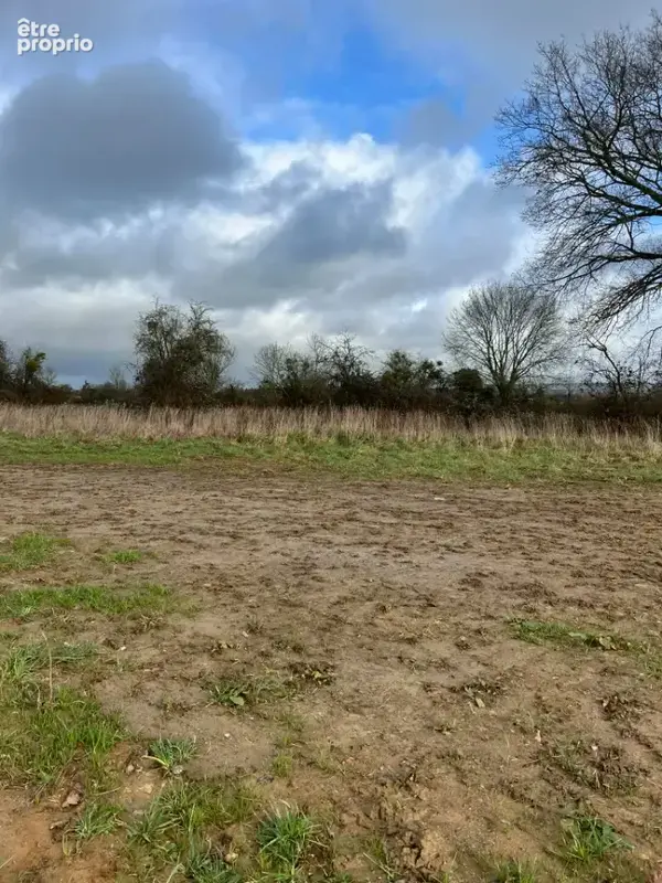 Photo Terrain à Cerise au prix de 40 250€