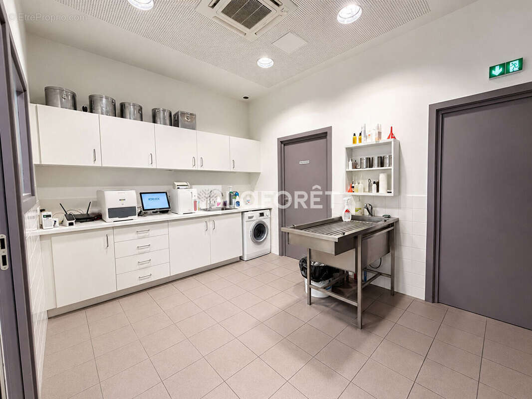 Cabinet vétérinaire Saverne - photo 4