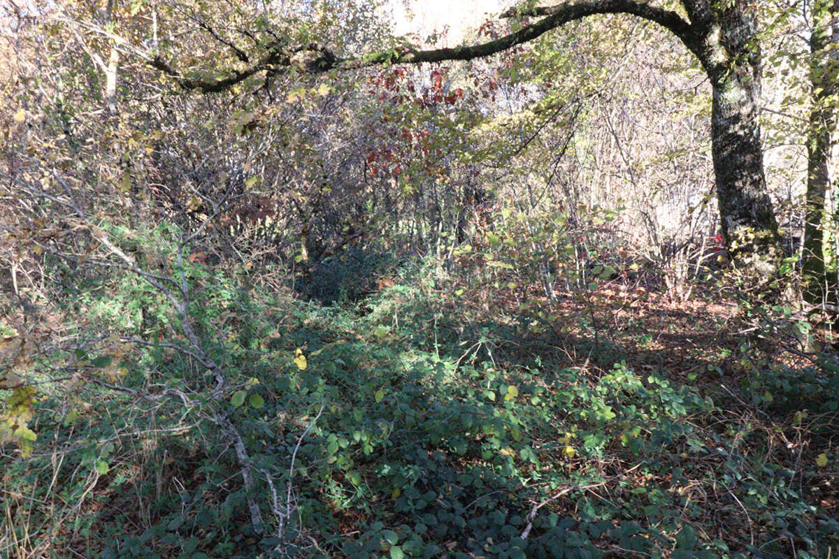 Autre à SAINT-AUGUSTIN