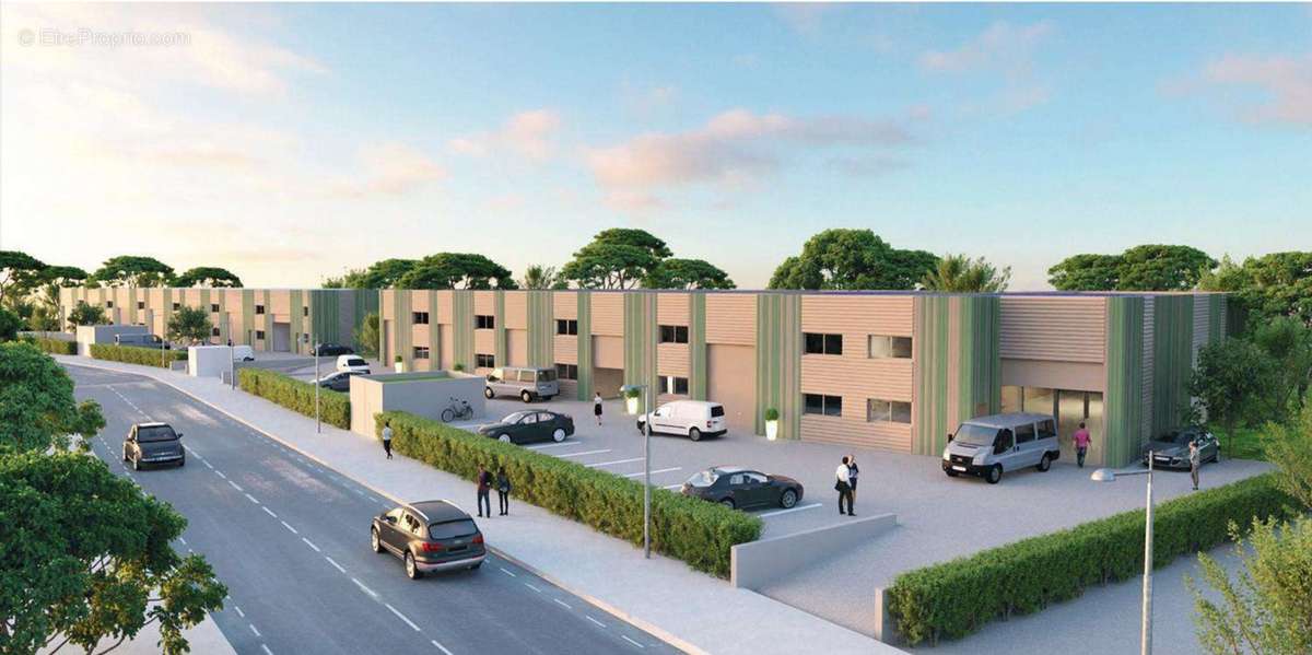 Commerce à PERPIGNAN