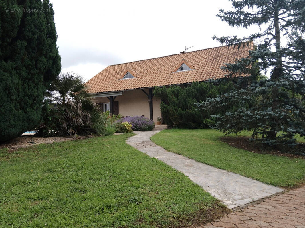 Maison à VIVONNE