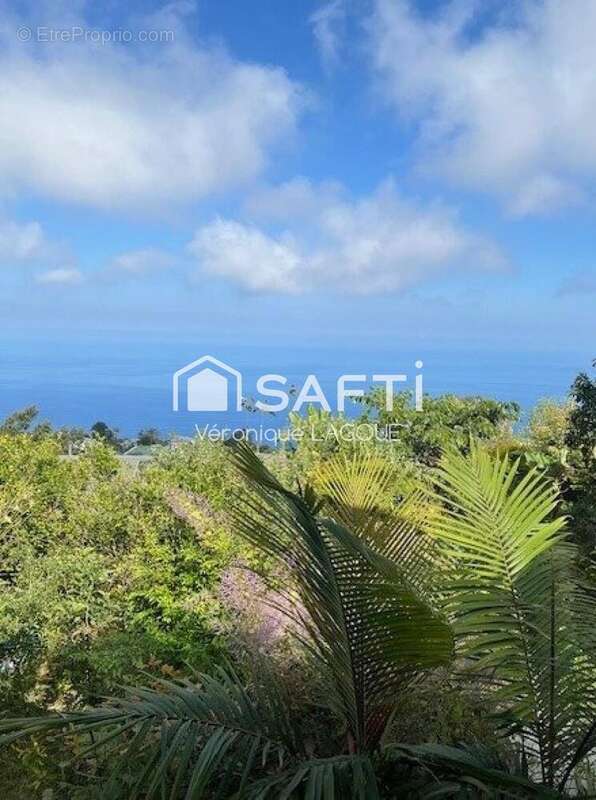 Photo 4 - Maison à SAINT-LEU