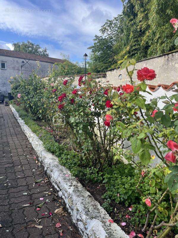 Maison à SAINT-XANDRE