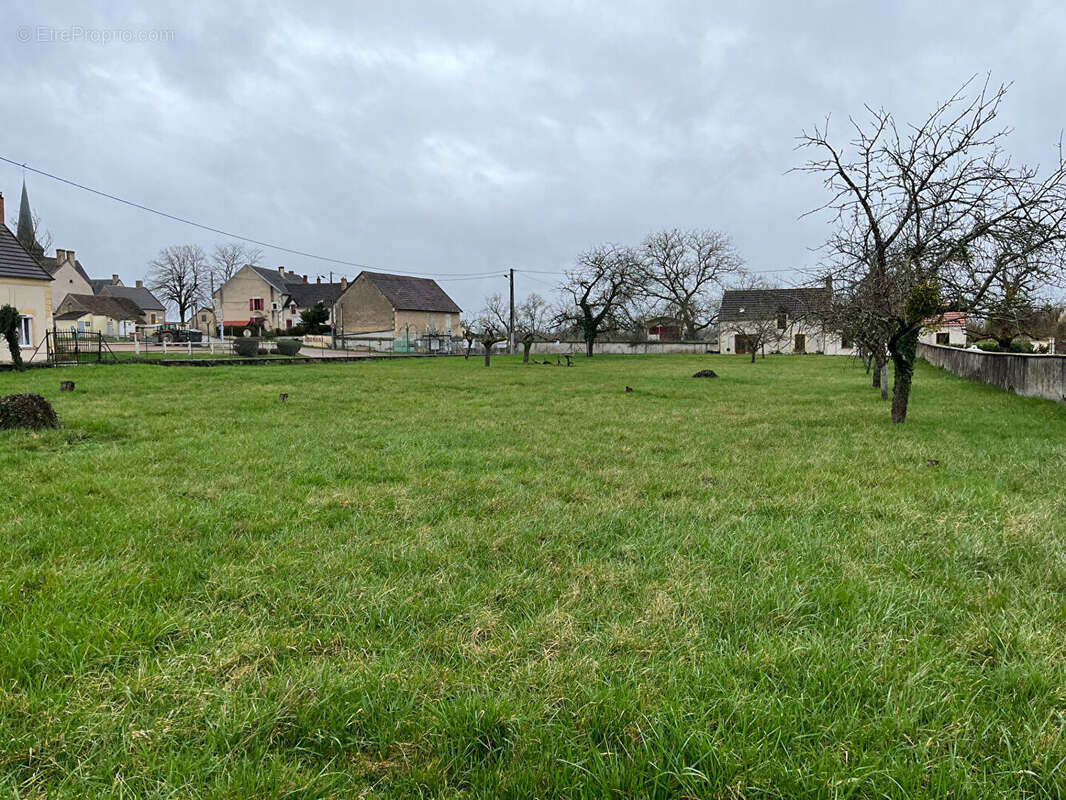 Terrain à GERMIGNY-SUR-LOIRE