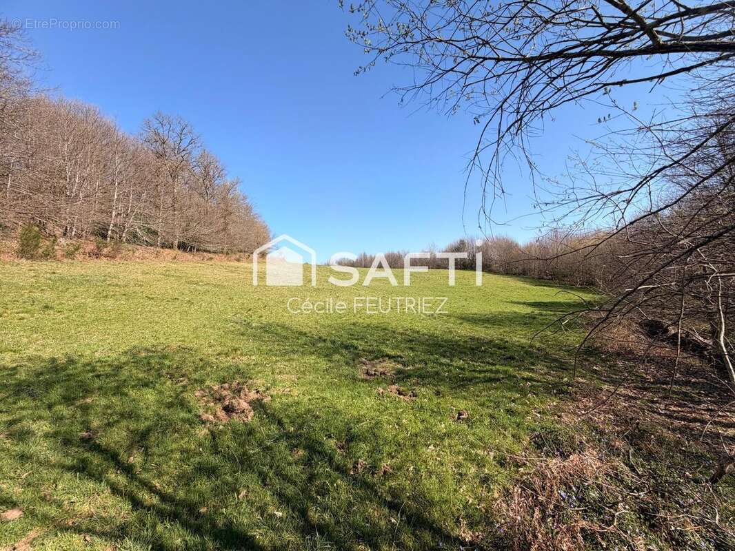 Maison 253 m² à Espagnac  - photo 5