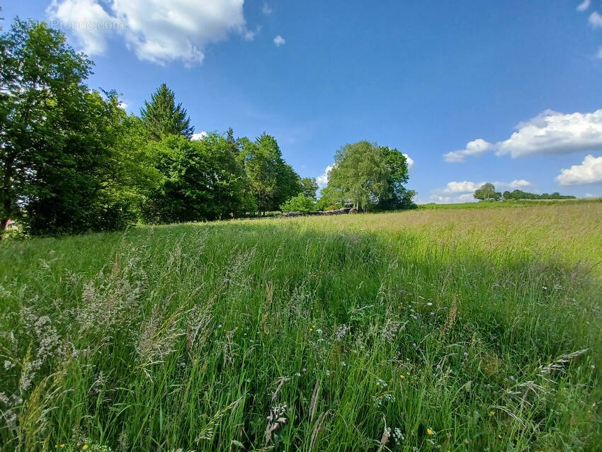 Terrain à PUY-SAINT-GULMIER