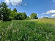 Terrain à PUY-SAINT-GULMIER