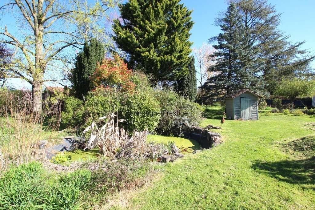 Authentique maison de famille en bourgogne de 263 m² avec 5 chambres - parc arbore de 3 041 m² et  dependances - photo 5