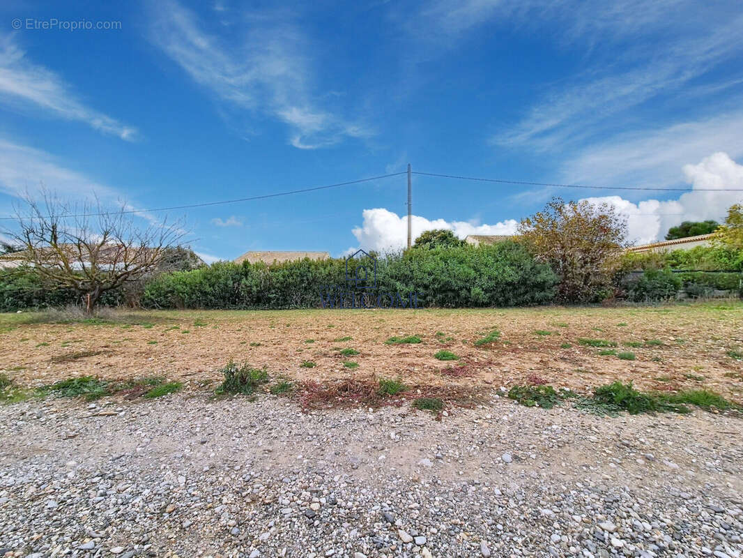 Terrain à SAINT-ANDRE-DE-SANGONIS