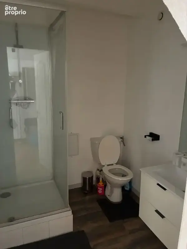 Triplex T2 centre piéton - photo 6