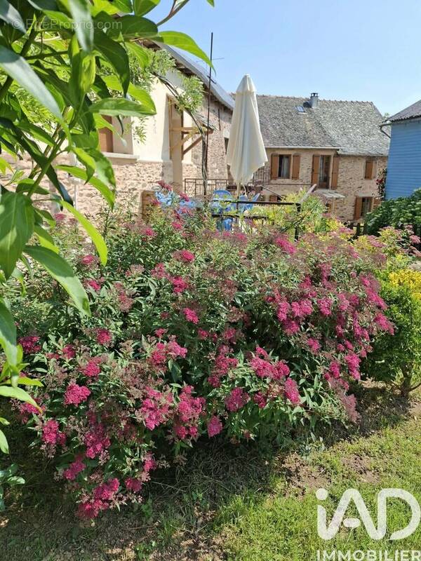 Photo 1 - Maison à LA SALVETAT-PEYRALES