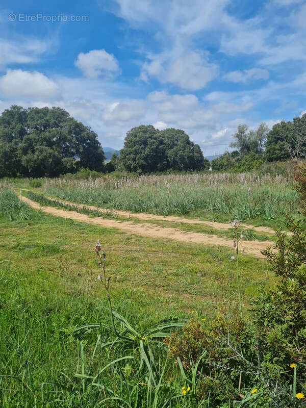 Terrain à GHISONACCIA