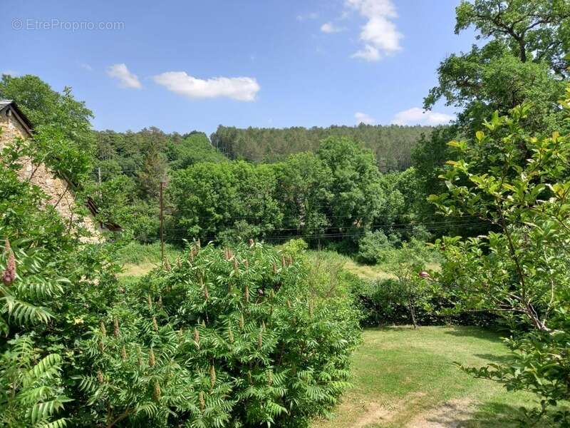 Maison à VILLENEUVE