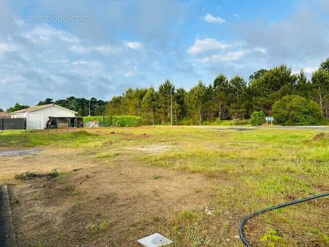 Terrain à SAINT-GEOURS-DE-MAREMNE