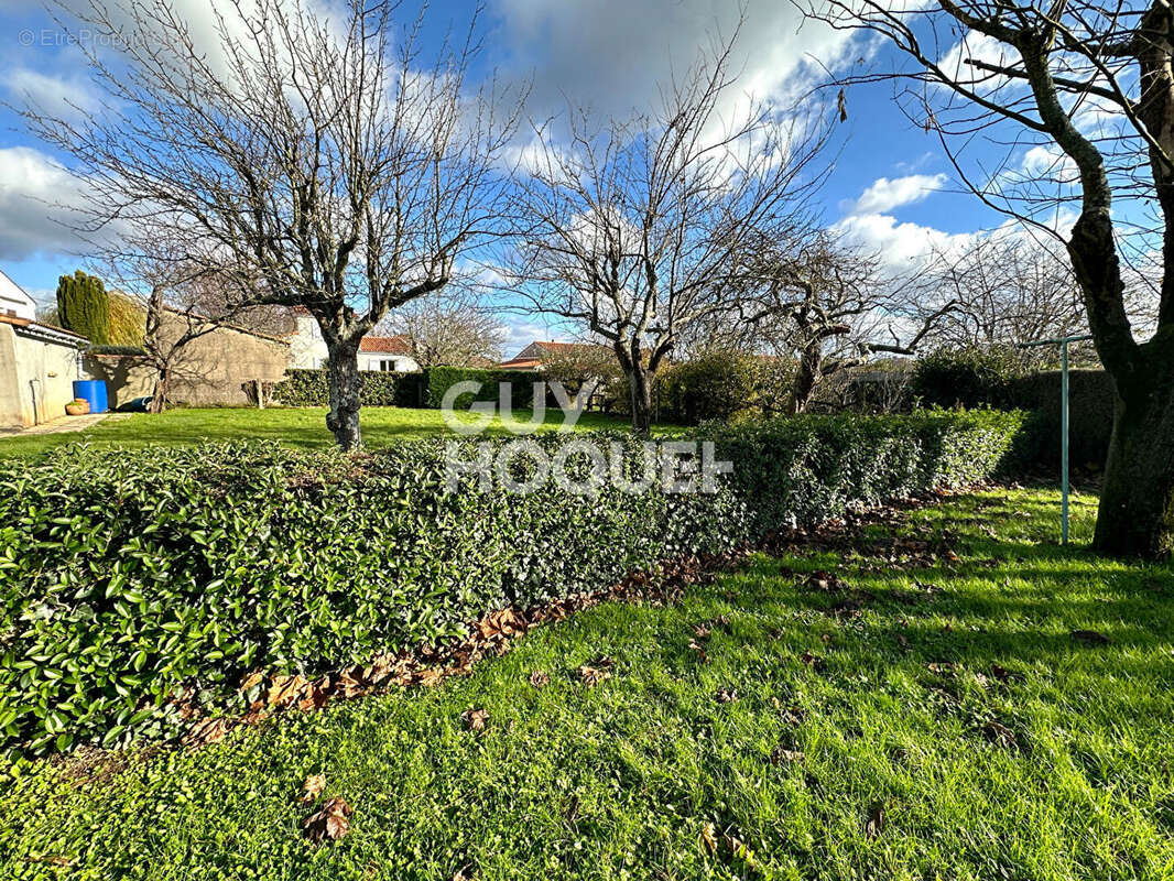 Maison à FONTENAY-LE-COMTE