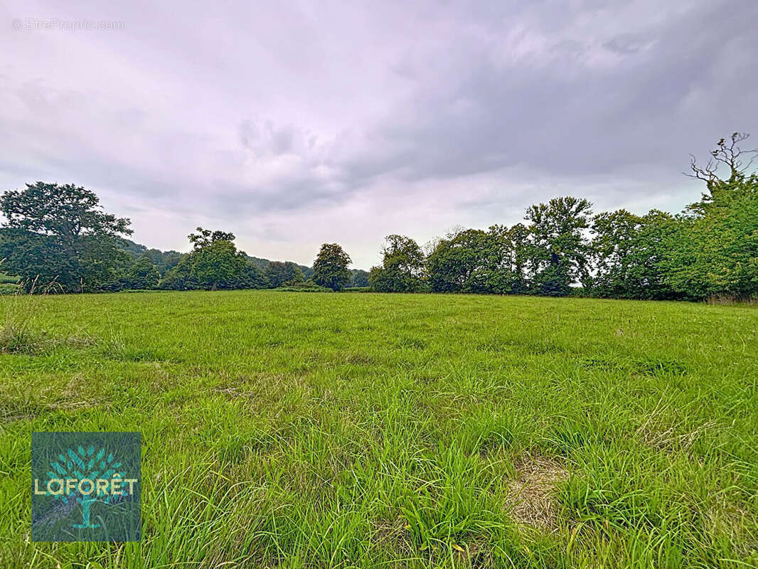 Maison à LOUVIGNE-DU-DESERT