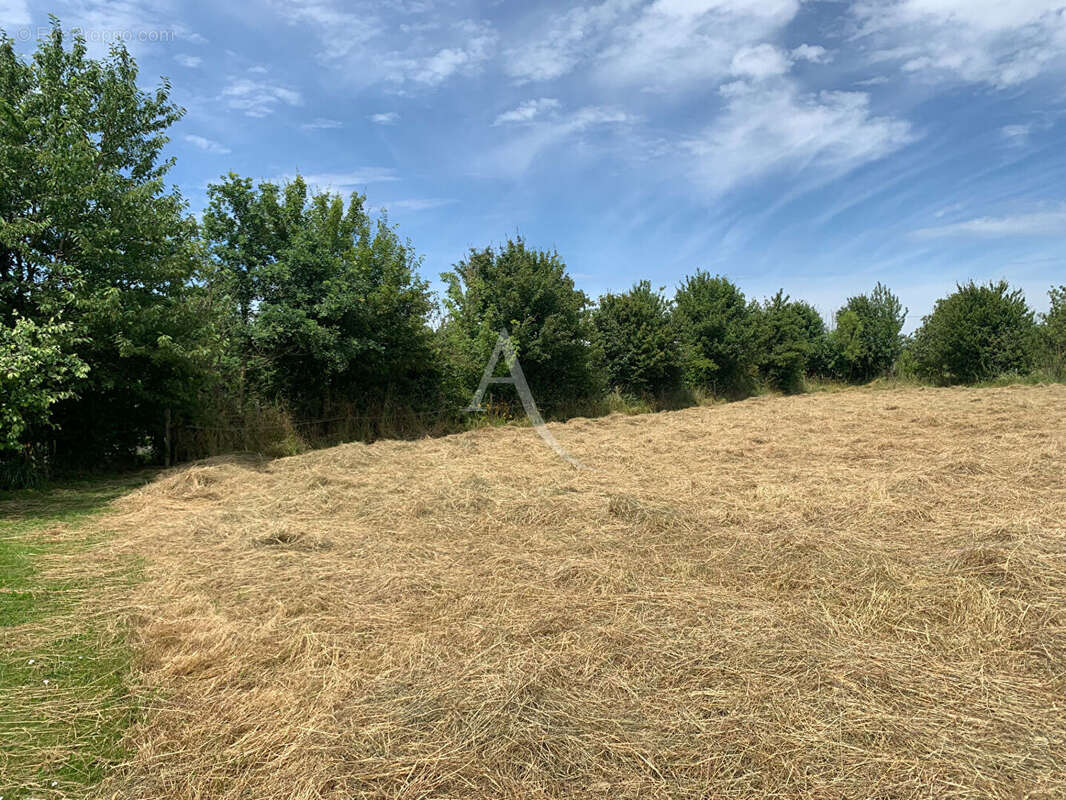 Terrain de loisirs de 22 350m² - photo 3