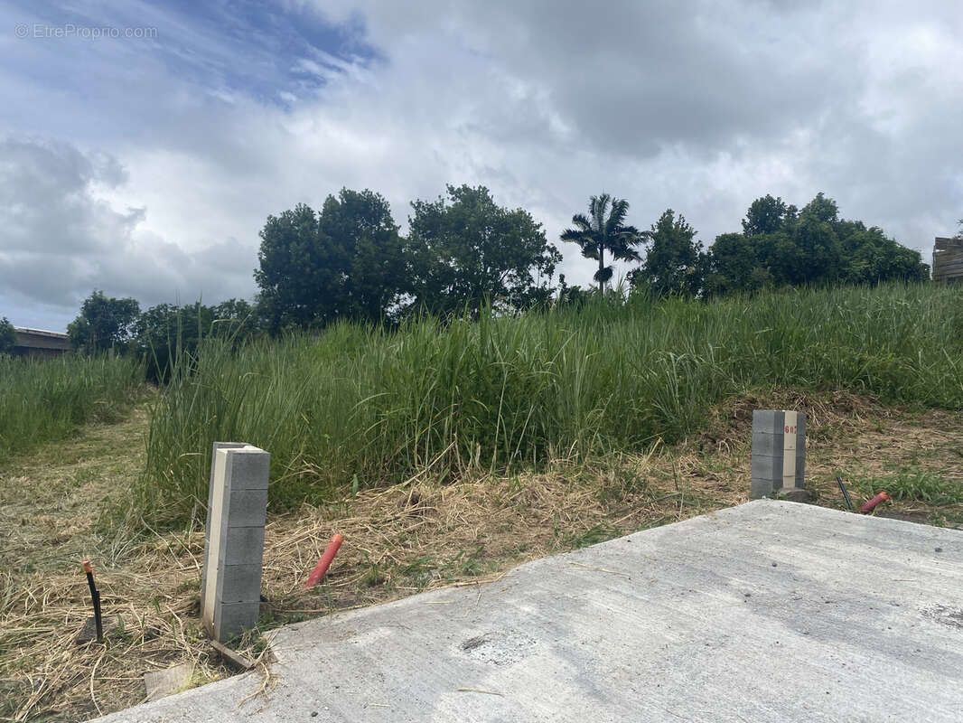 Terrain à SAINT-DENIS