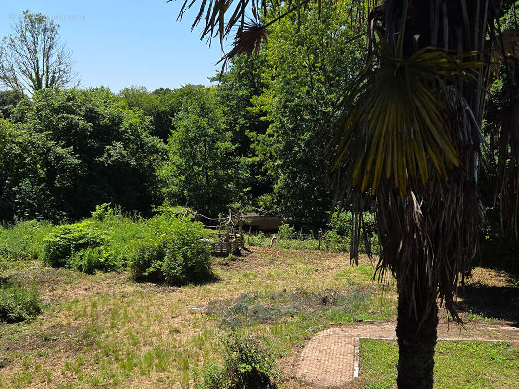 Maison à vendre à Pedernec - 6 pièces avec grand terrain - photo 10