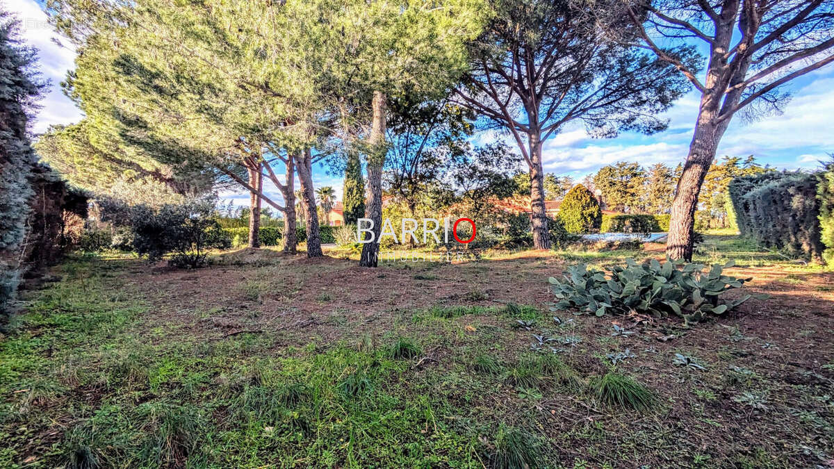 Terrain à LAROQUE-DES-ALBERES