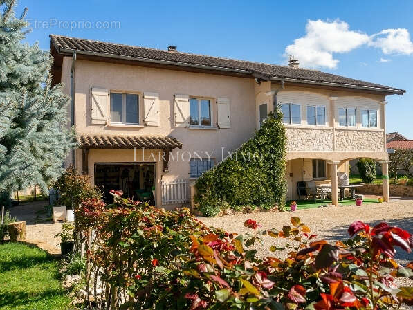 Maison à CHATILLON-SUR-CHALARONNE