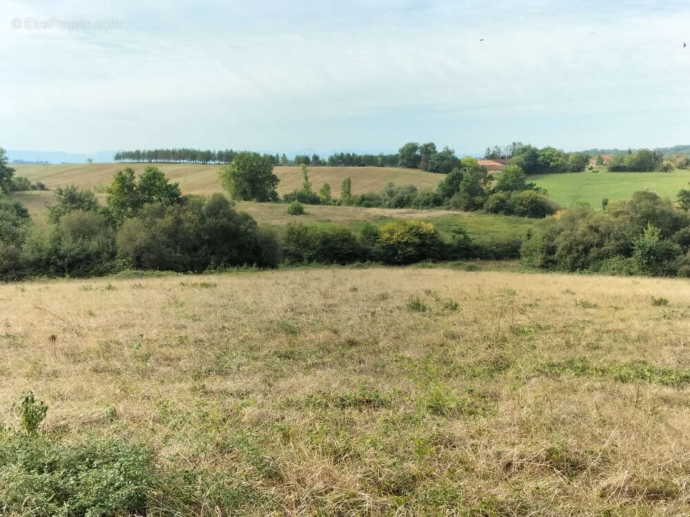 Terrain à MARGOUET-MEYMES