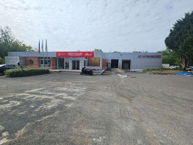 Commerce à LISSES