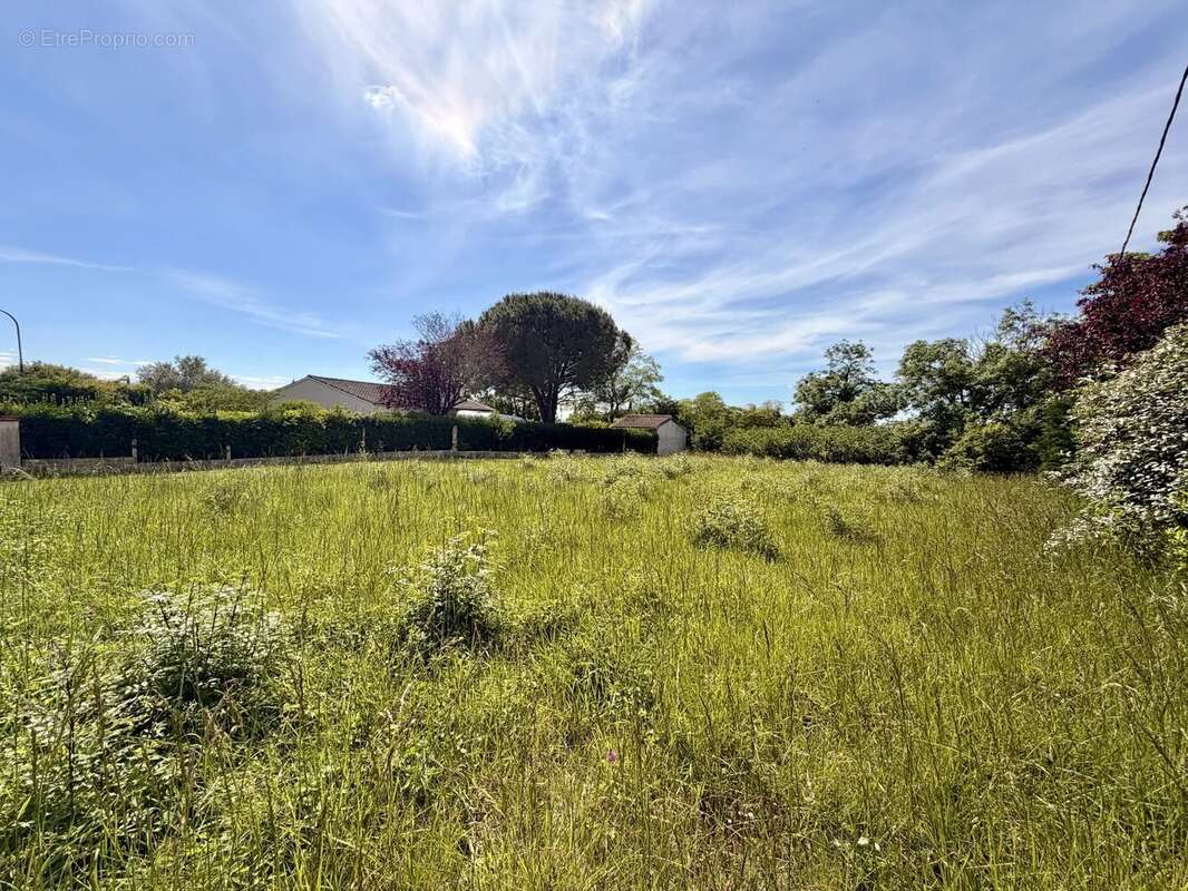 Terrain à VILLEFRANCHE-DE-LAURAGAIS