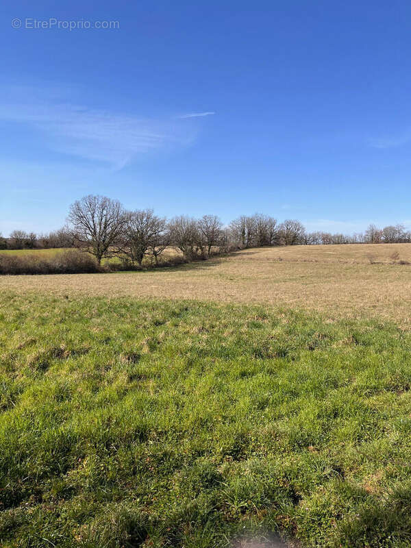 Maison à SAINT-CERNIN