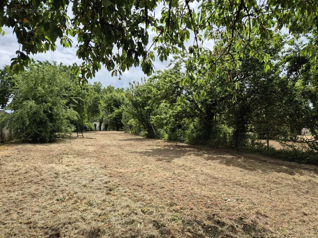 Terrain à CORBEILLES