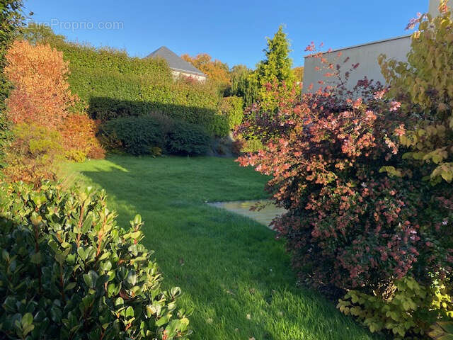 Maison à PLOUER-SUR-RANCE