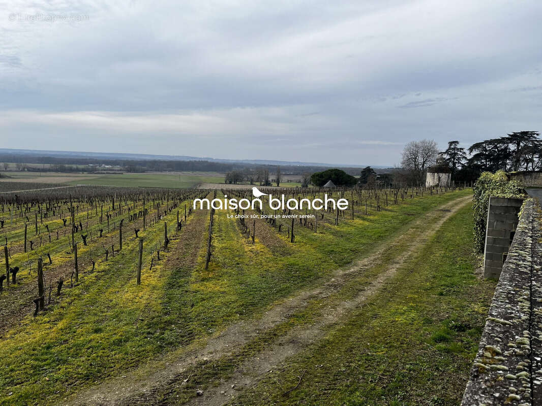 Autre à SAUMUR
