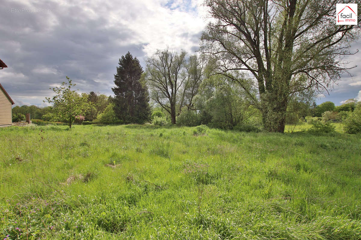 Terrain à RORBACH-LES-DIEUZE