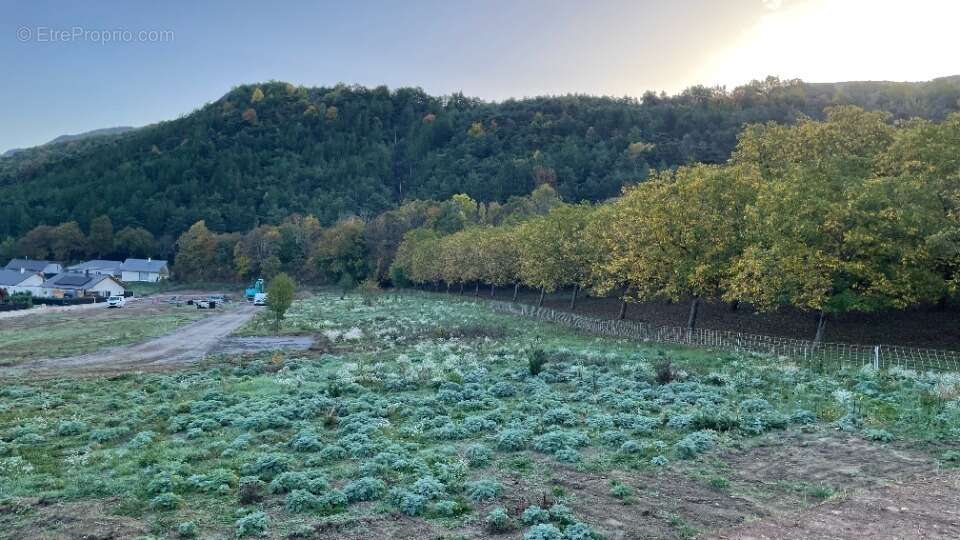 Terrain à SAINT-ETIENNE-LE-LAUS