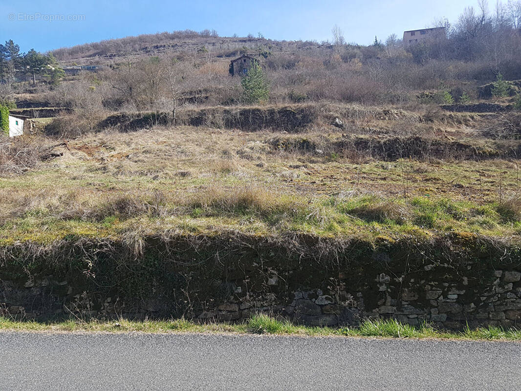 Terrain à SAINT-ROME-DE-TARN