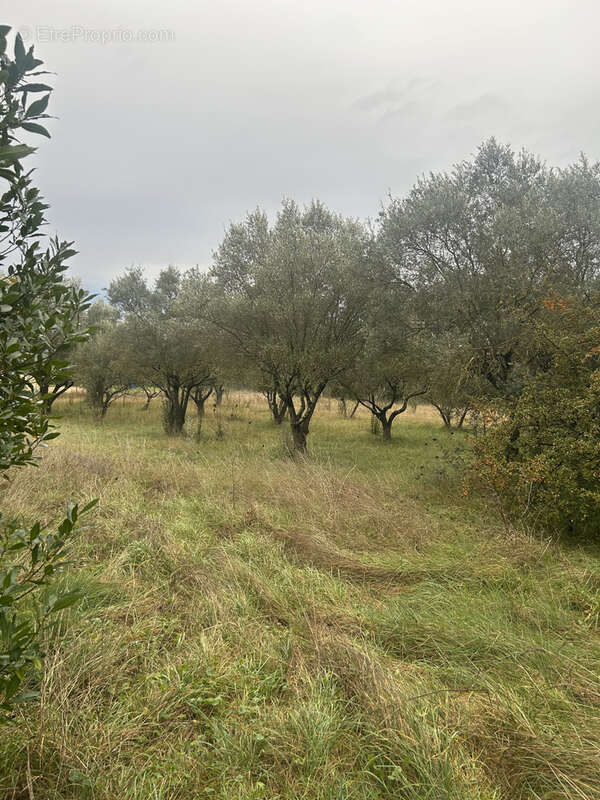 A 5 minutes d'Ales, terrain de 324 m2 à bâtir proche des commodités à pied - photo 3
