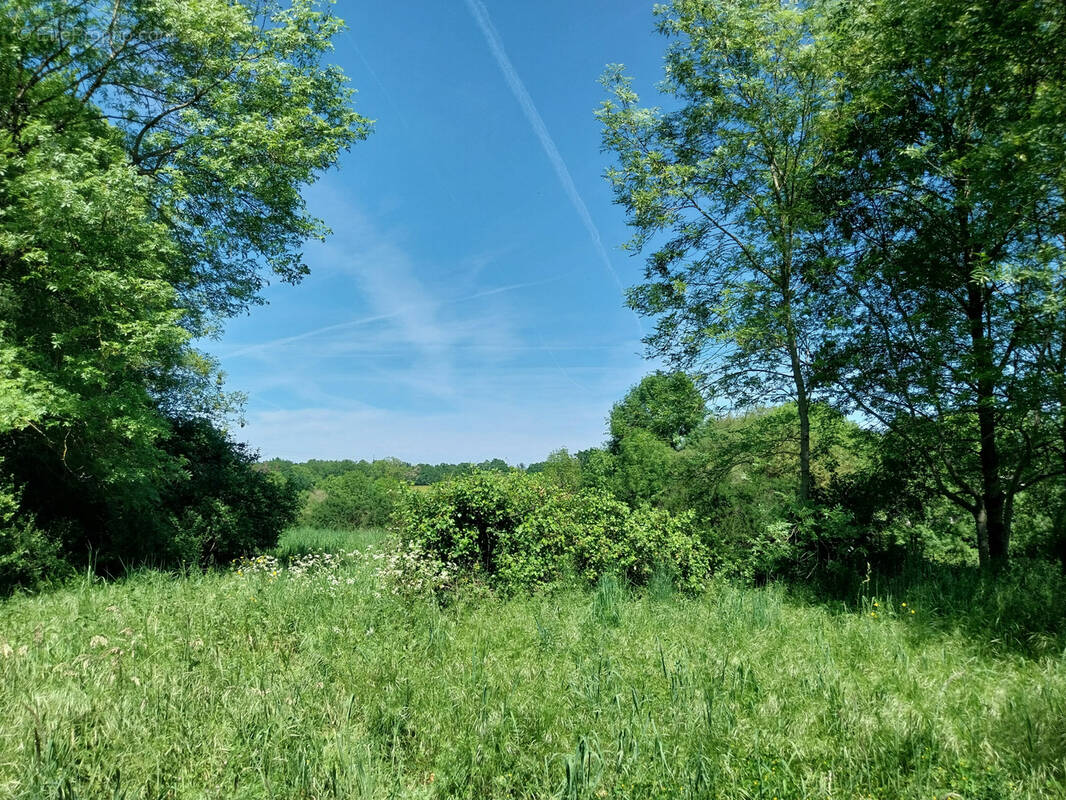 Terrain à ROUMAZIERES-LOUBERT