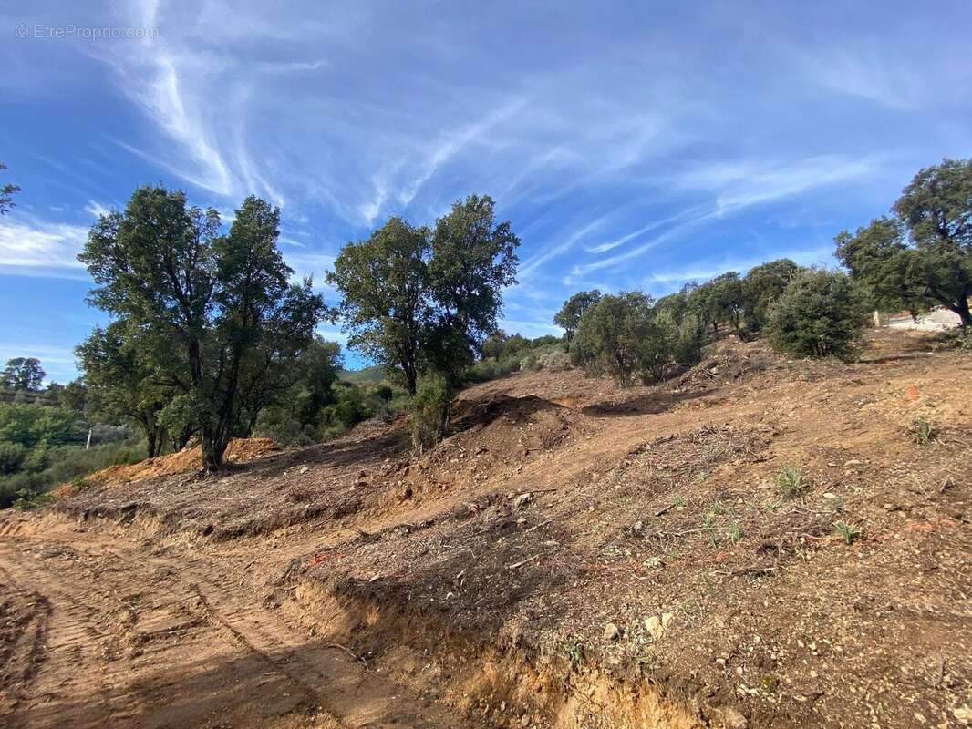 Terrain à TAVACO