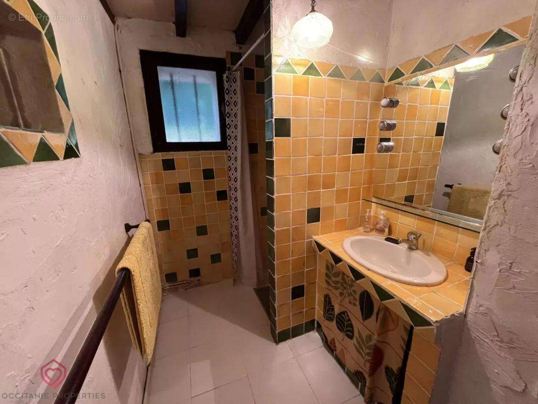 Maison à CARLA-BAYLE