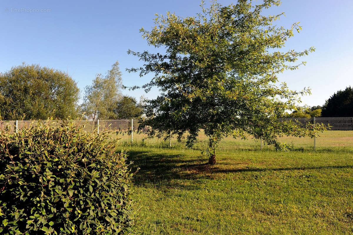 Appartement à LANGON