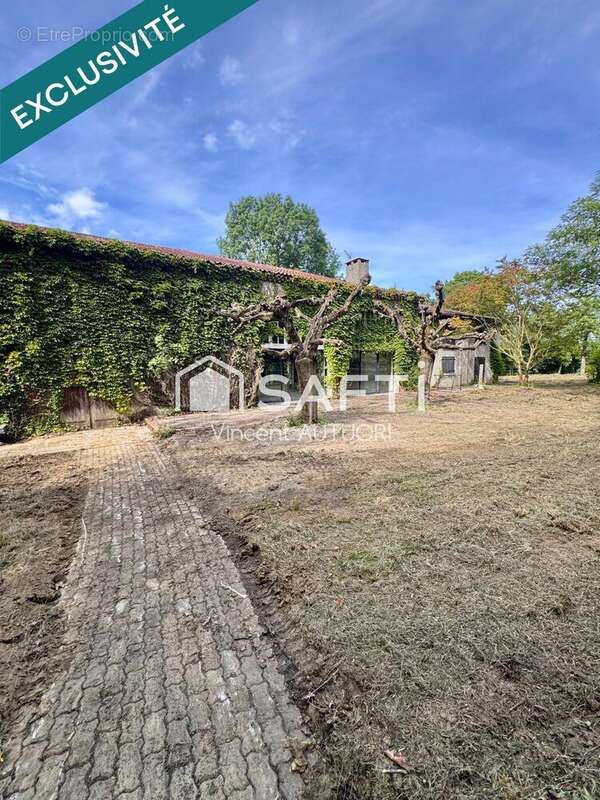 Maison 600 m² à Caraman  - photo 7