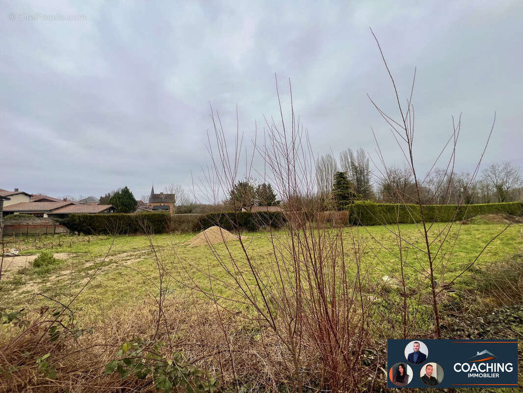 Terrain à LARZICOURT