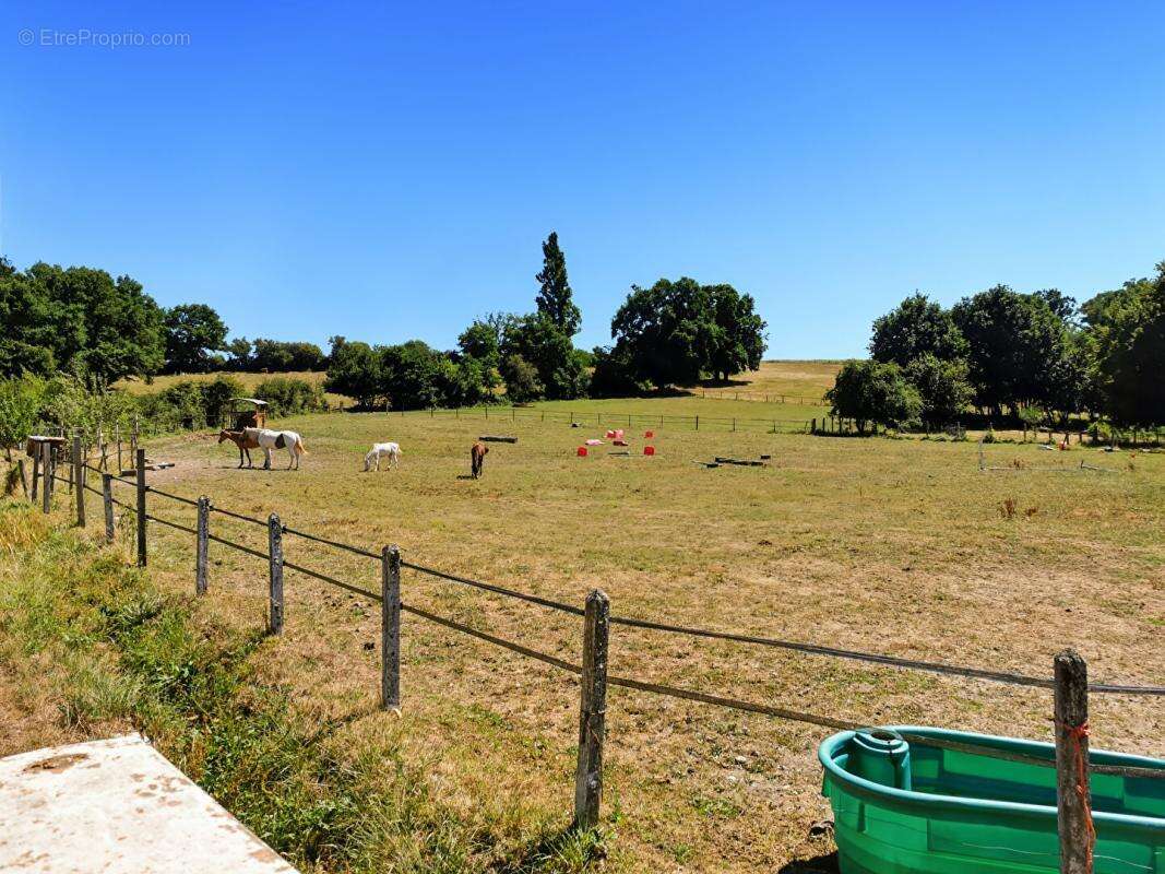 Domaine agricole & équestre de 15 hectares  À proximité de Saint-Amand-Montrond - photo 13