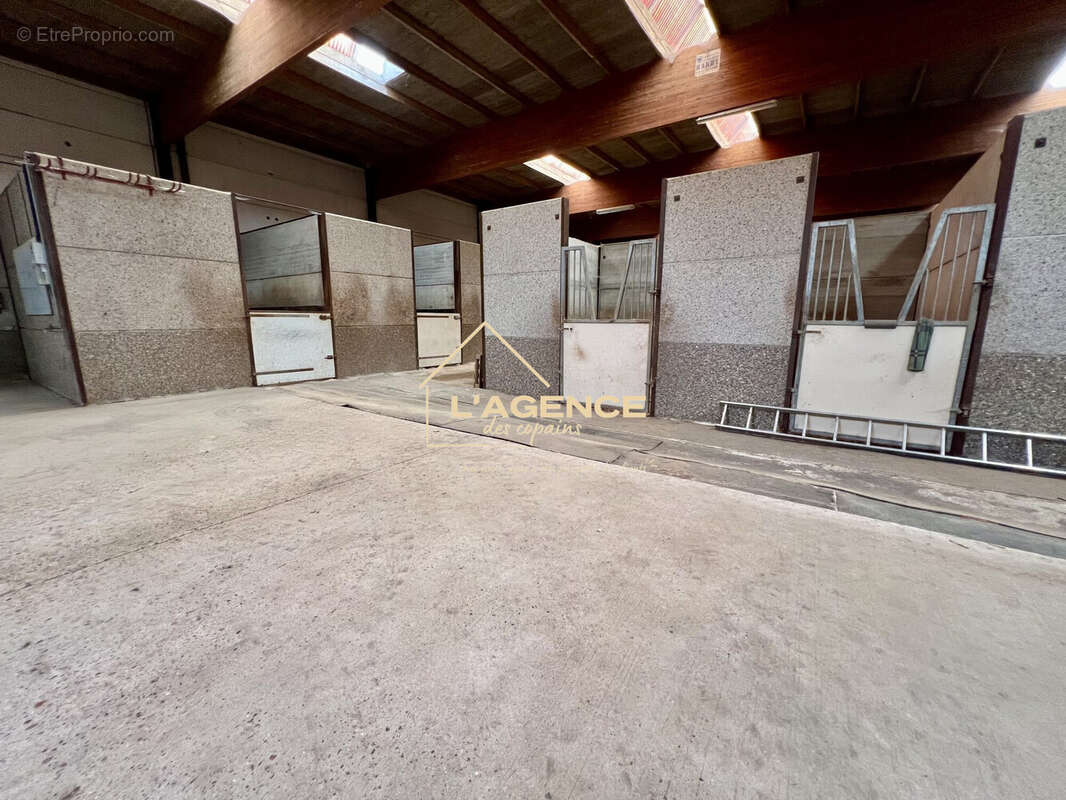 Maison 200 m² à Eecke  - photo 8