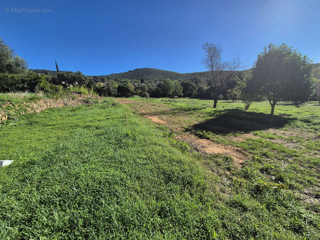 Terrain à LE PRADET