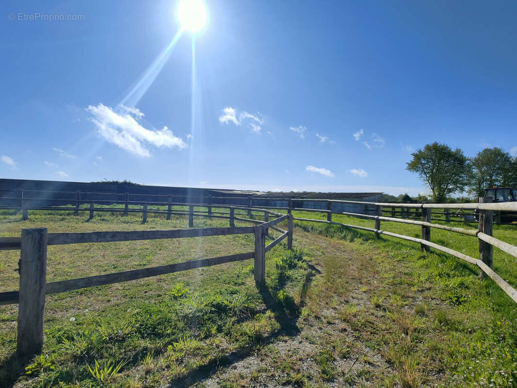 Propriété équestre avec 13 hectares - photo 35