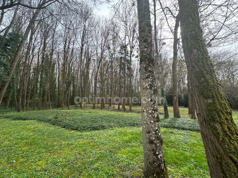 Appartement à SAINT-JEAN-DE-BRAYE