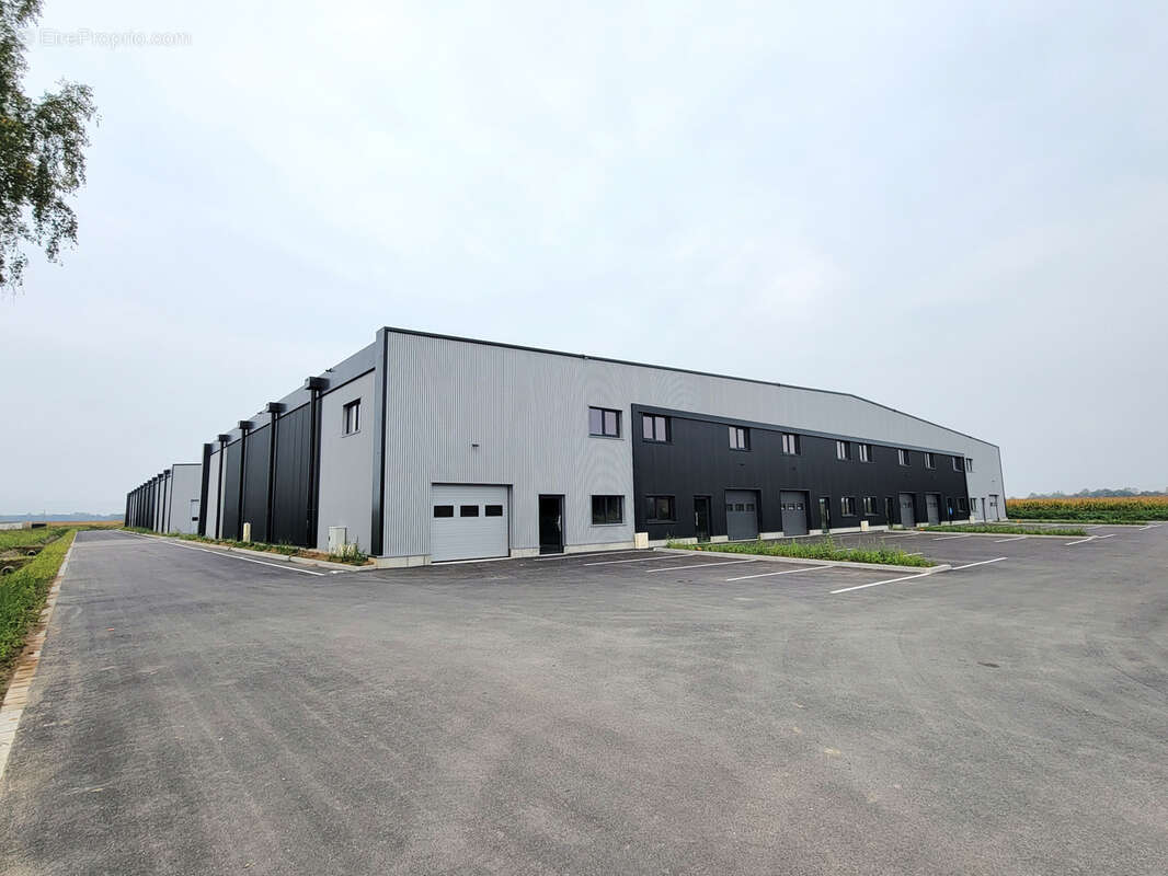 Commerce à FEGERSHEIM