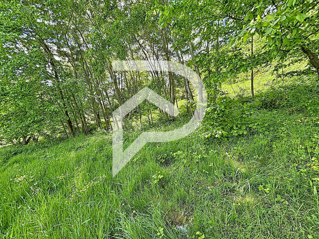 Terrain à ORBEY